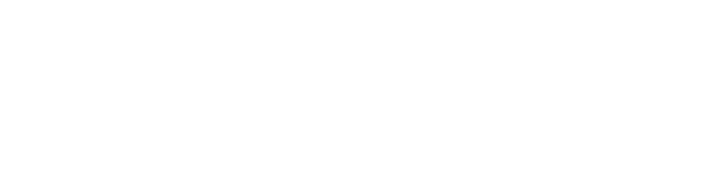 Logo Wise Data Marketing